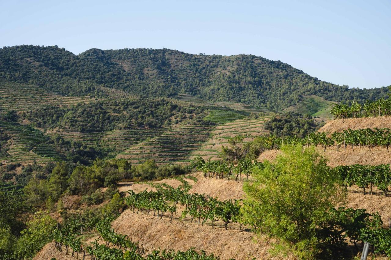 Ora Hotel Priorat, A Member Of Design Hotels Torroja 외부 사진